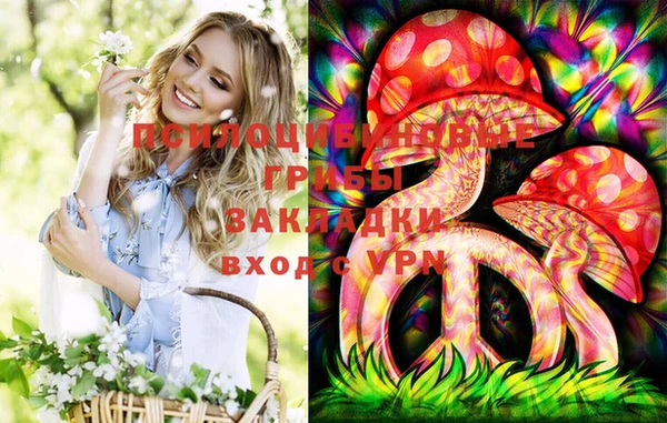apvp Костерёво