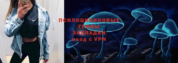 PSILOCYBIN Алексин