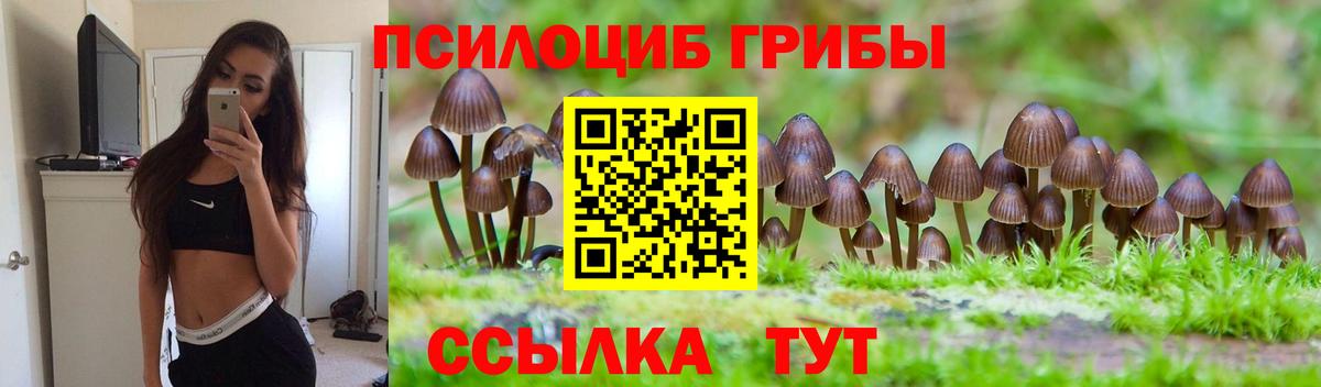 Псилоцибиновые грибы ЛСД  Вход с VPN  Псилоцибиновые грибы Magic Shrooms  Тутаев 